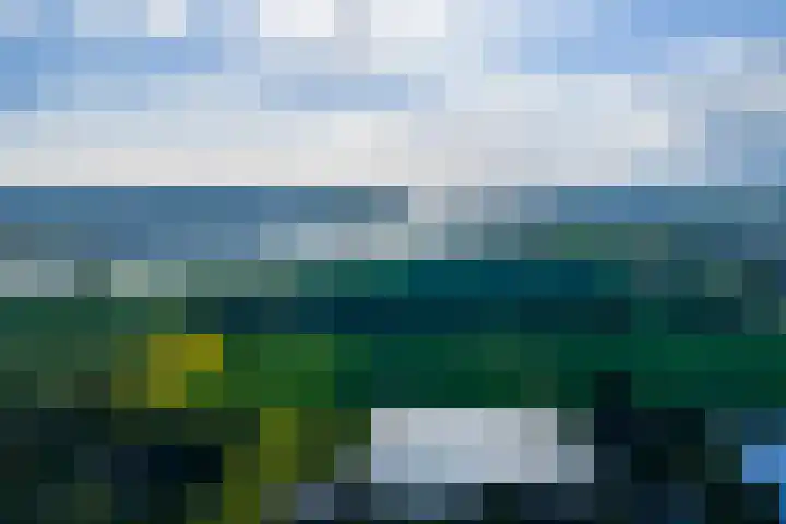 De Bonkelaar 83 Gendt thumbnail 42
