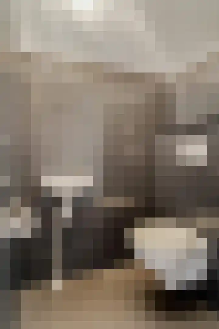De Bonkelaar 9 Gendt thumbnail 10