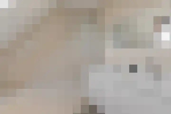 De Bonkelaar 9 Gendt thumbnail 29