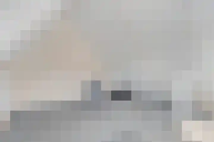 De Bonkelaar 9 Gendt thumbnail 32