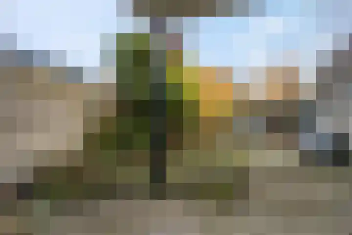 De Bonkelaar 9 Gendt thumbnail 34