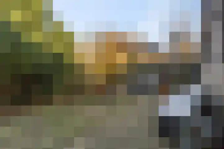 De Bonkelaar 9 Gendt thumbnail 35