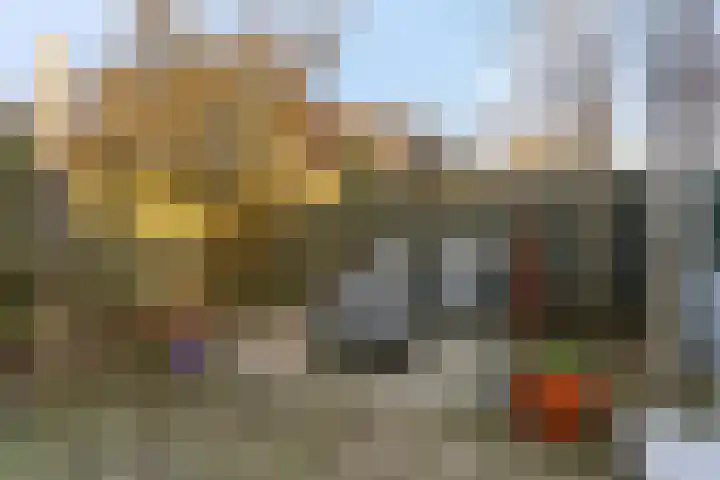 De Bonkelaar 9 Gendt thumbnail 37