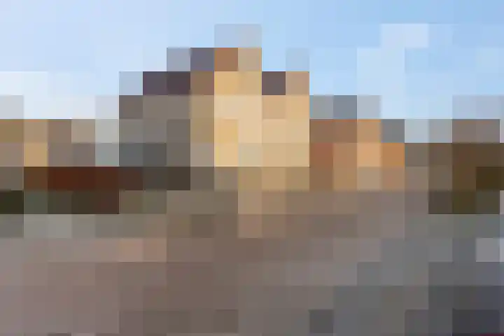 De Bonkelaar 9 Gendt thumbnail 41