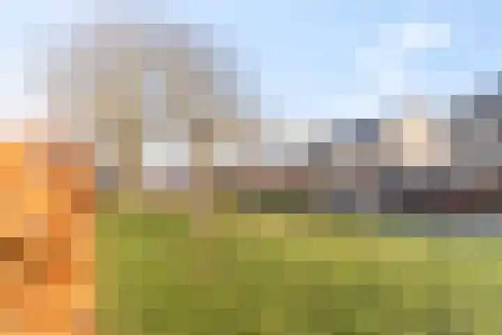 De Bonkelaar 9 Gendt thumbnail 42