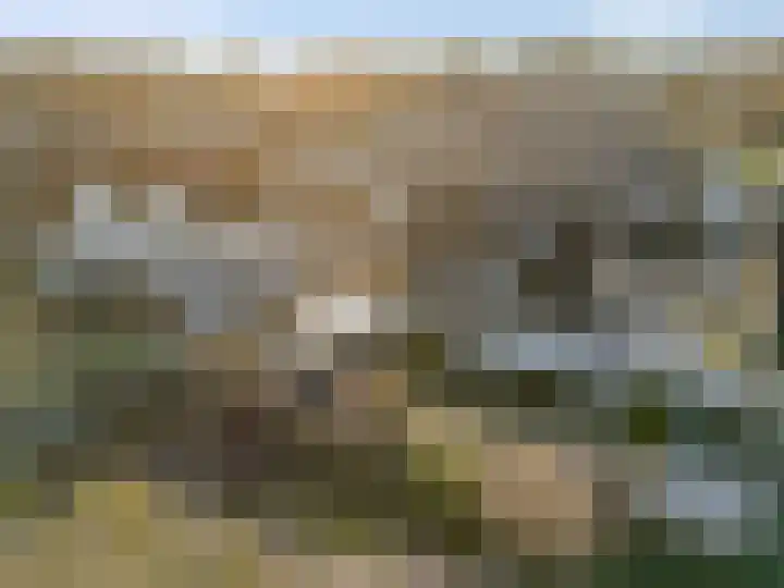 De Bonkelaar 9 Gendt thumbnail 44