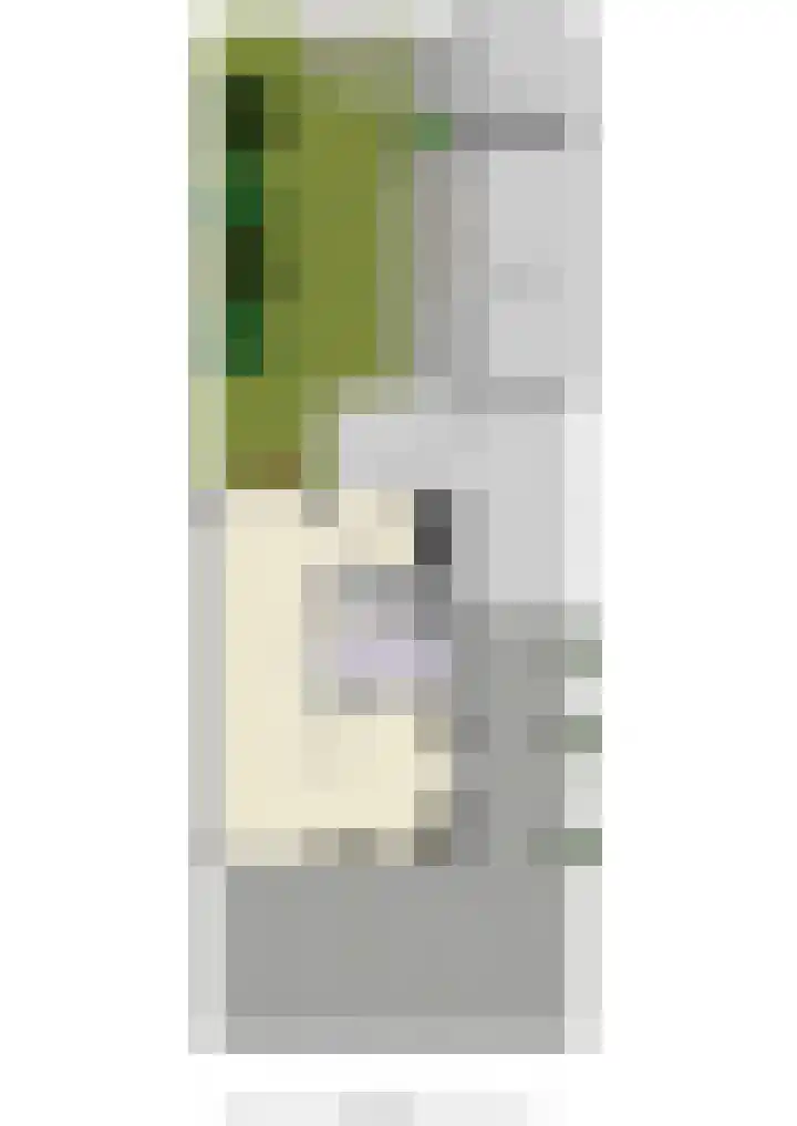 De Bonkelaar 9 Gendt thumbnail 50