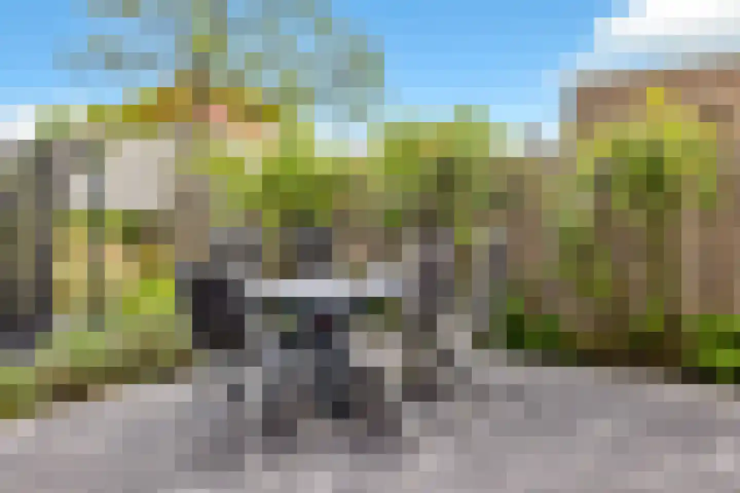 De Bonte Koe 7 Gorinchem thumbnail 14