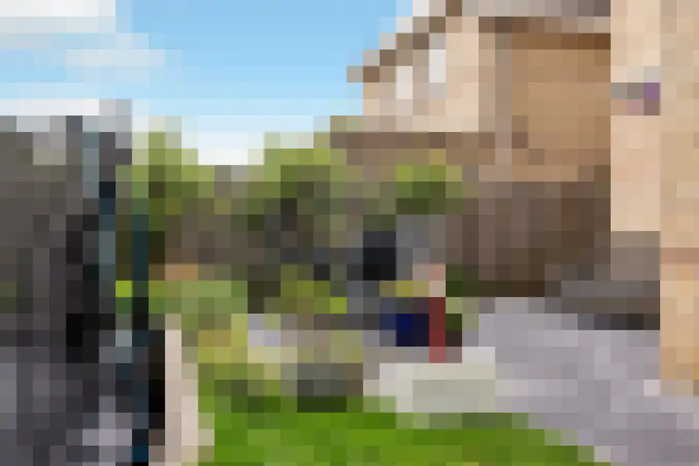 De Bonte Koe 7 Gorinchem thumbnail 16
