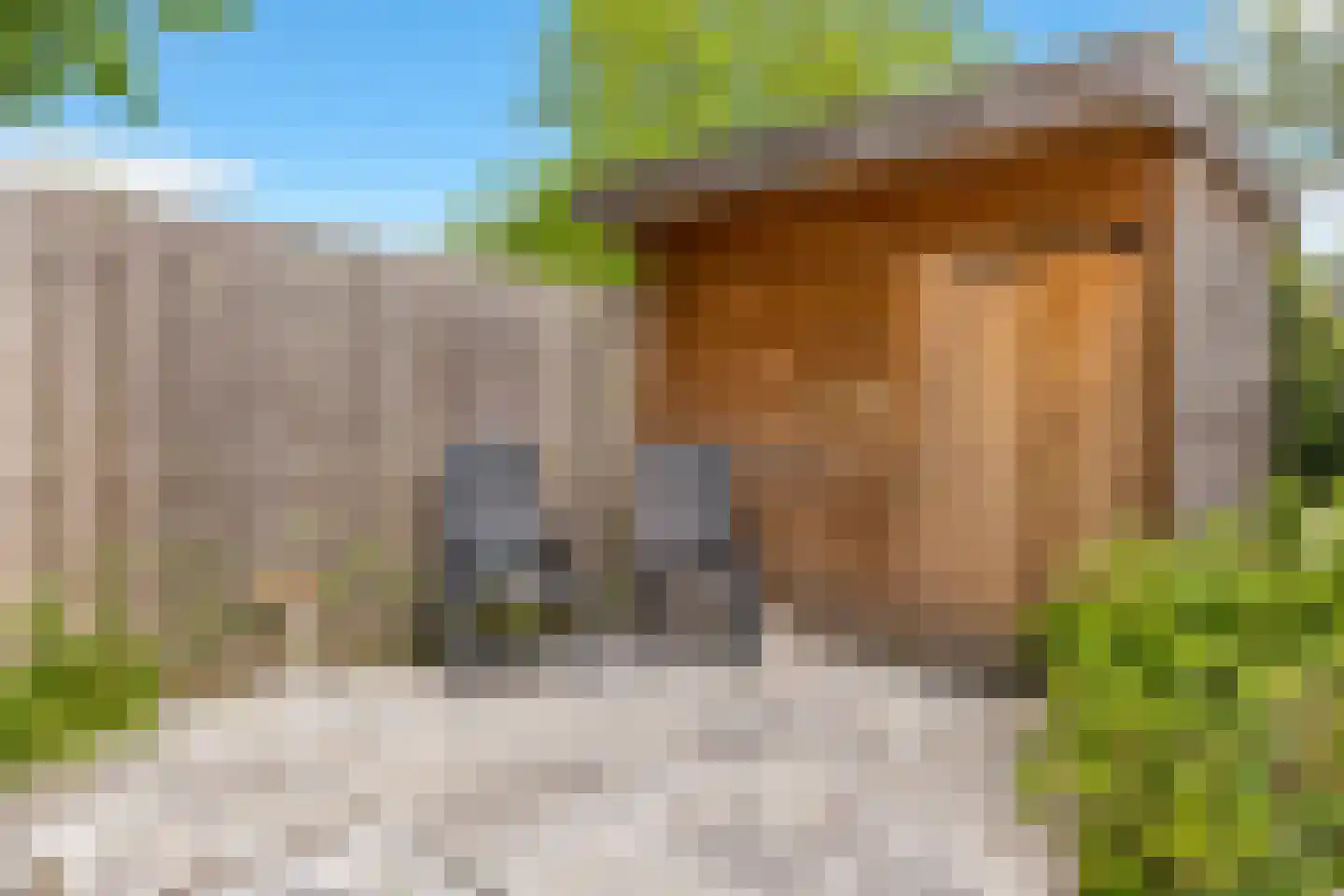 De Bonte Koe 7 Gorinchem thumbnail 17