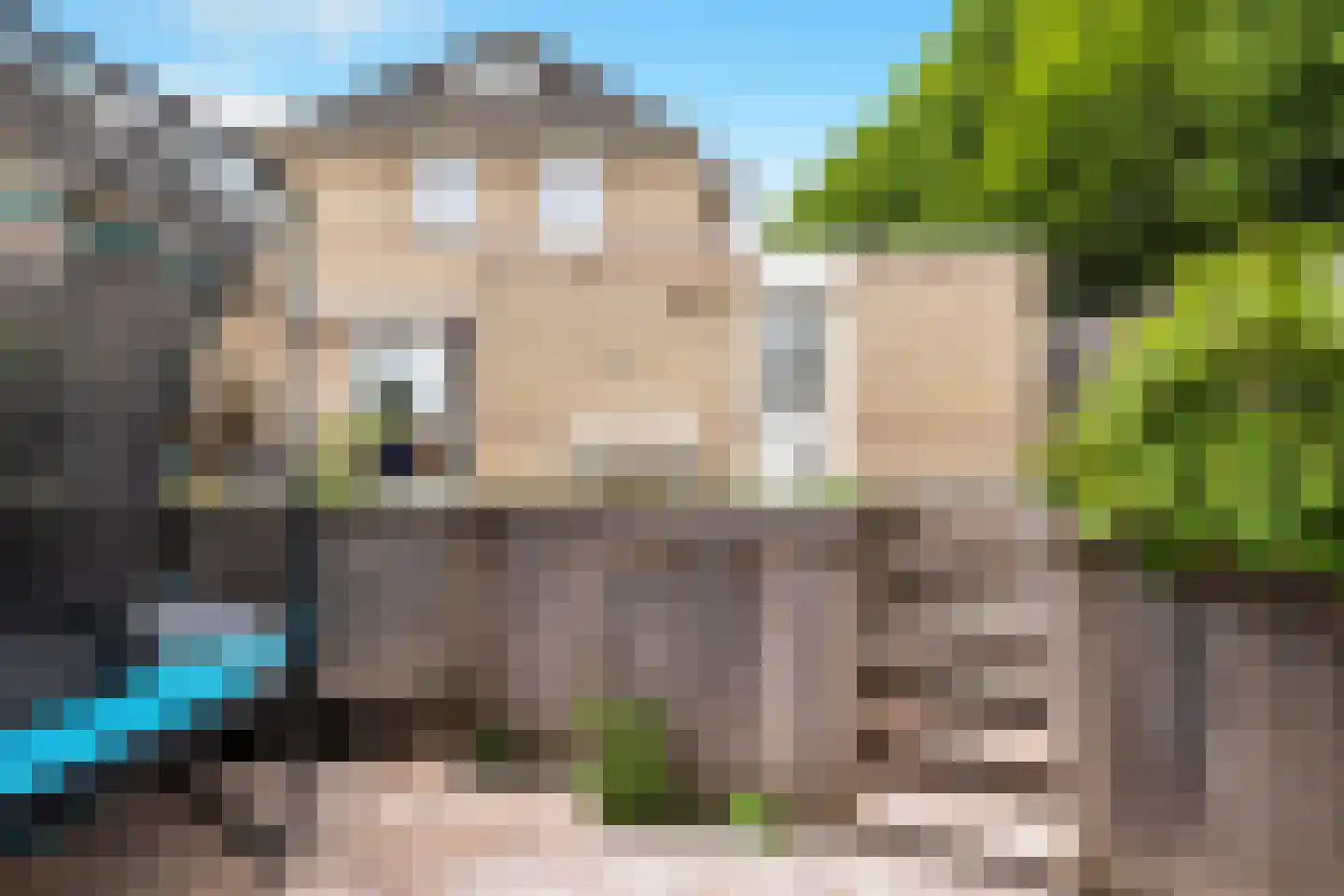 De Bonte Koe 7 Gorinchem thumbnail 18
