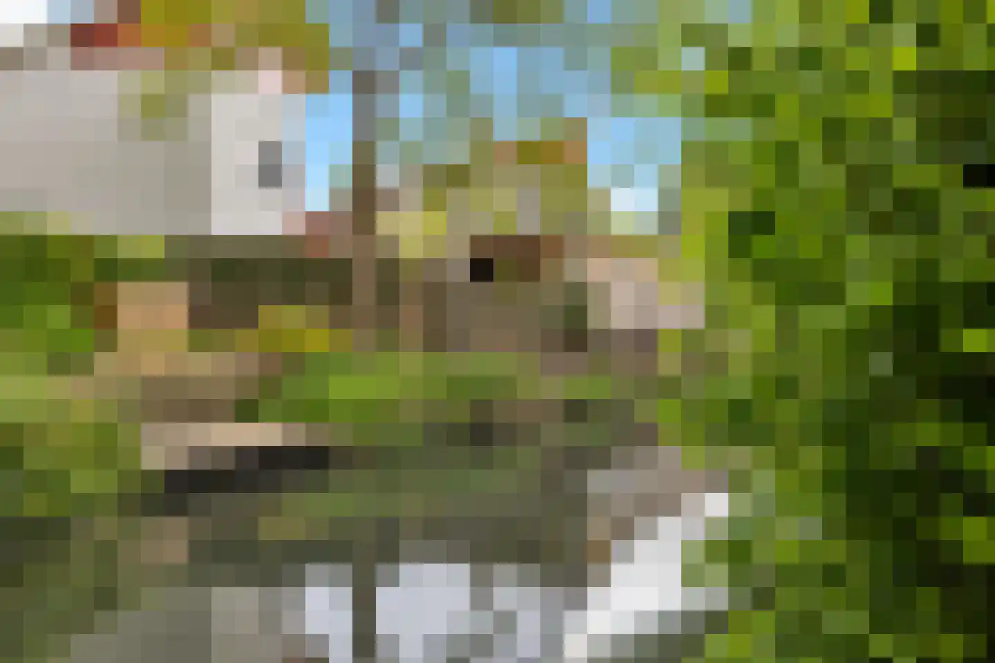 De Bonte Koe 7 Gorinchem thumbnail 19