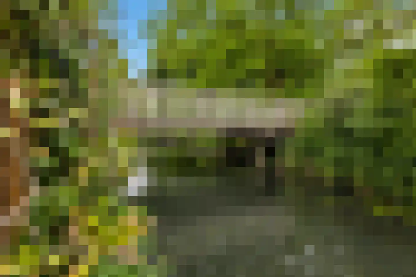 De Bonte Koe 7 Gorinchem thumbnail 20
