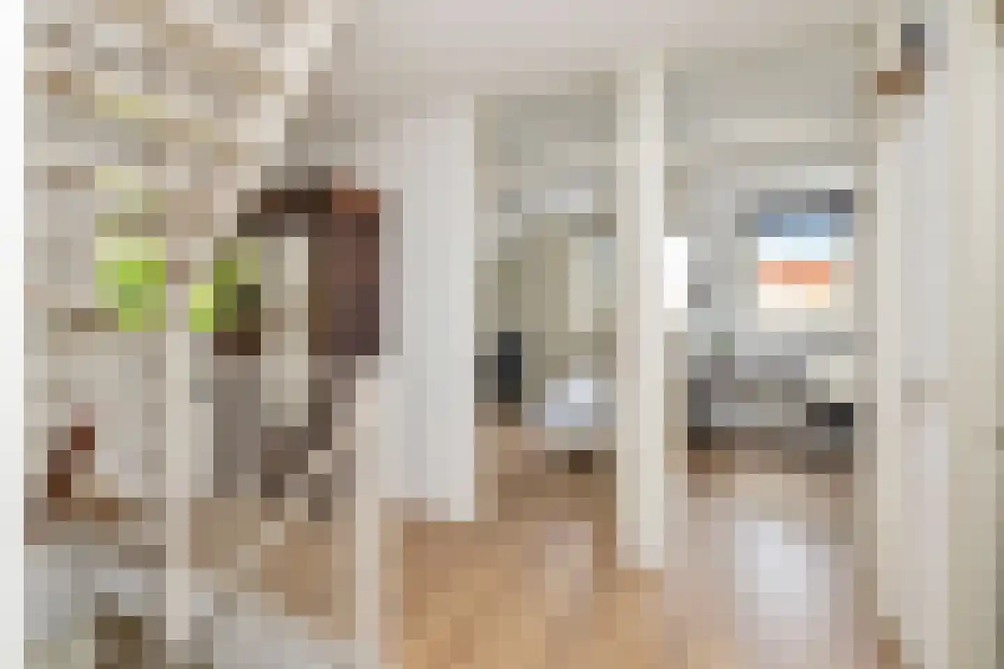 De Bonte Koe 7 Gorinchem thumbnail 24