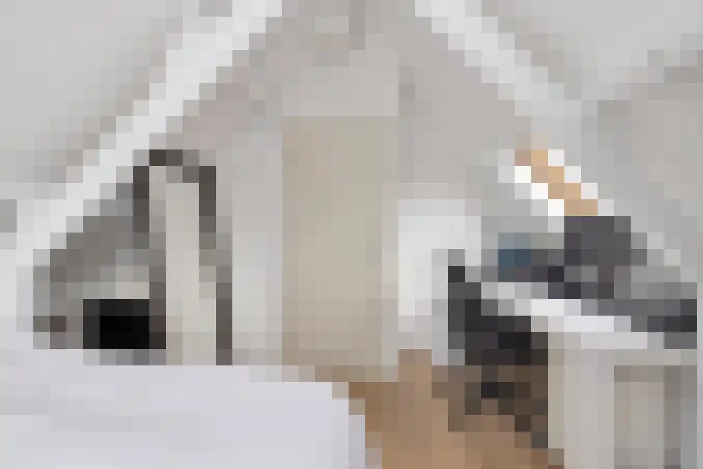 De Bonte Koe 7 Gorinchem thumbnail 38