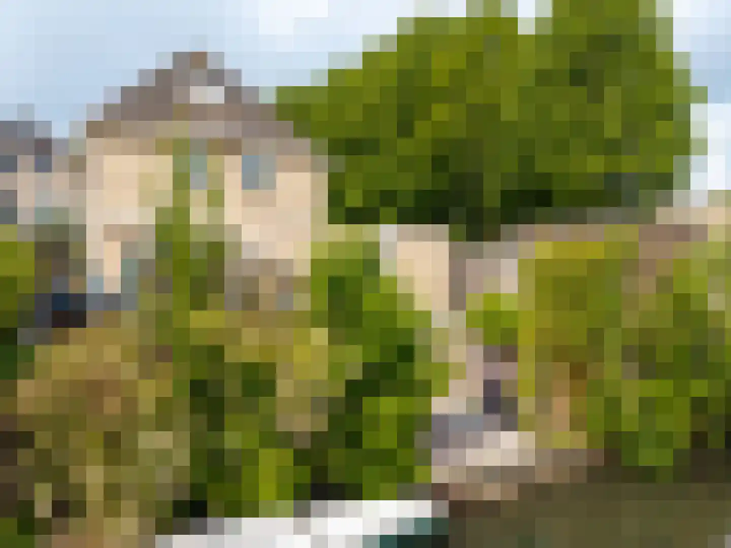 De Bonte Koe 7 Gorinchem thumbnail 4