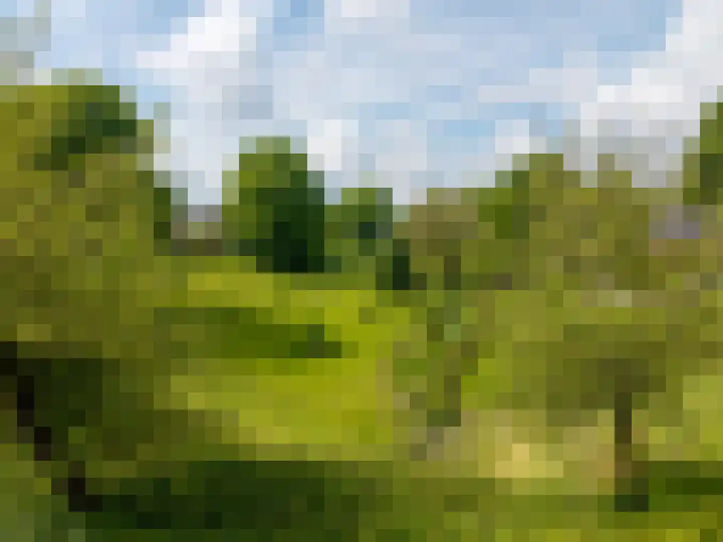 De Bonte Koe 7 Gorinchem thumbnail 40