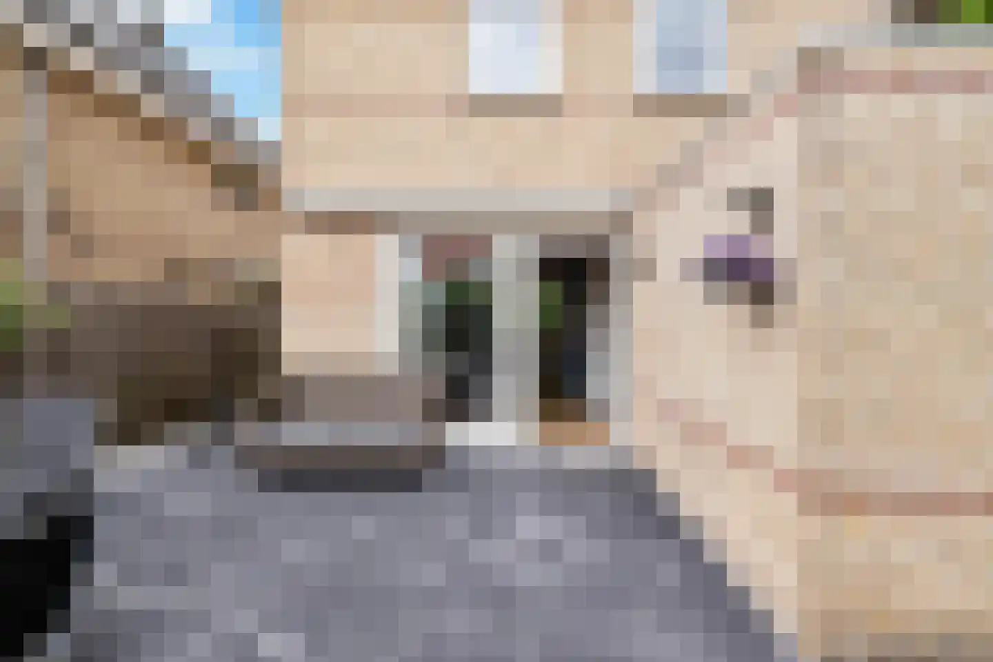 De Bonte Koe 7 Gorinchem thumbnail 5