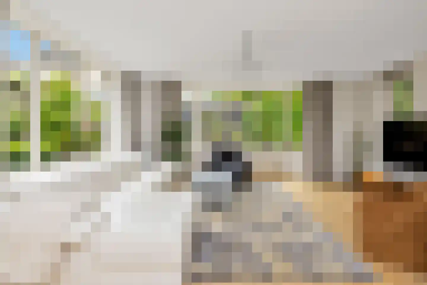 De Bonte Koe 7 Gorinchem thumbnail 9