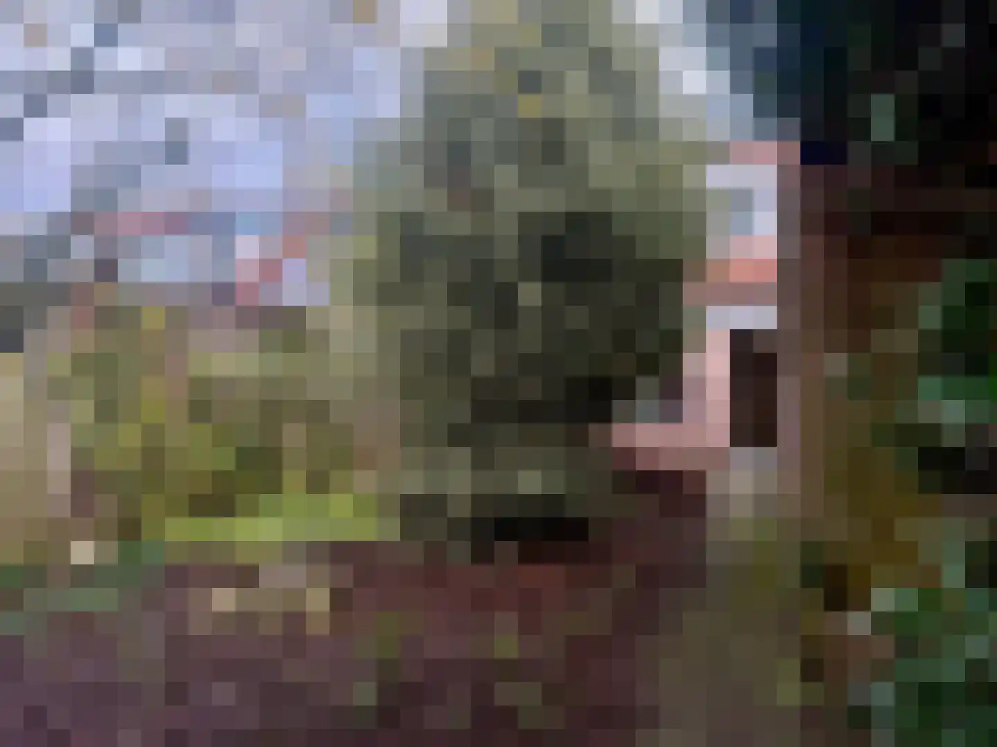 De Bonte Specht 8 Almelo thumbnail 10