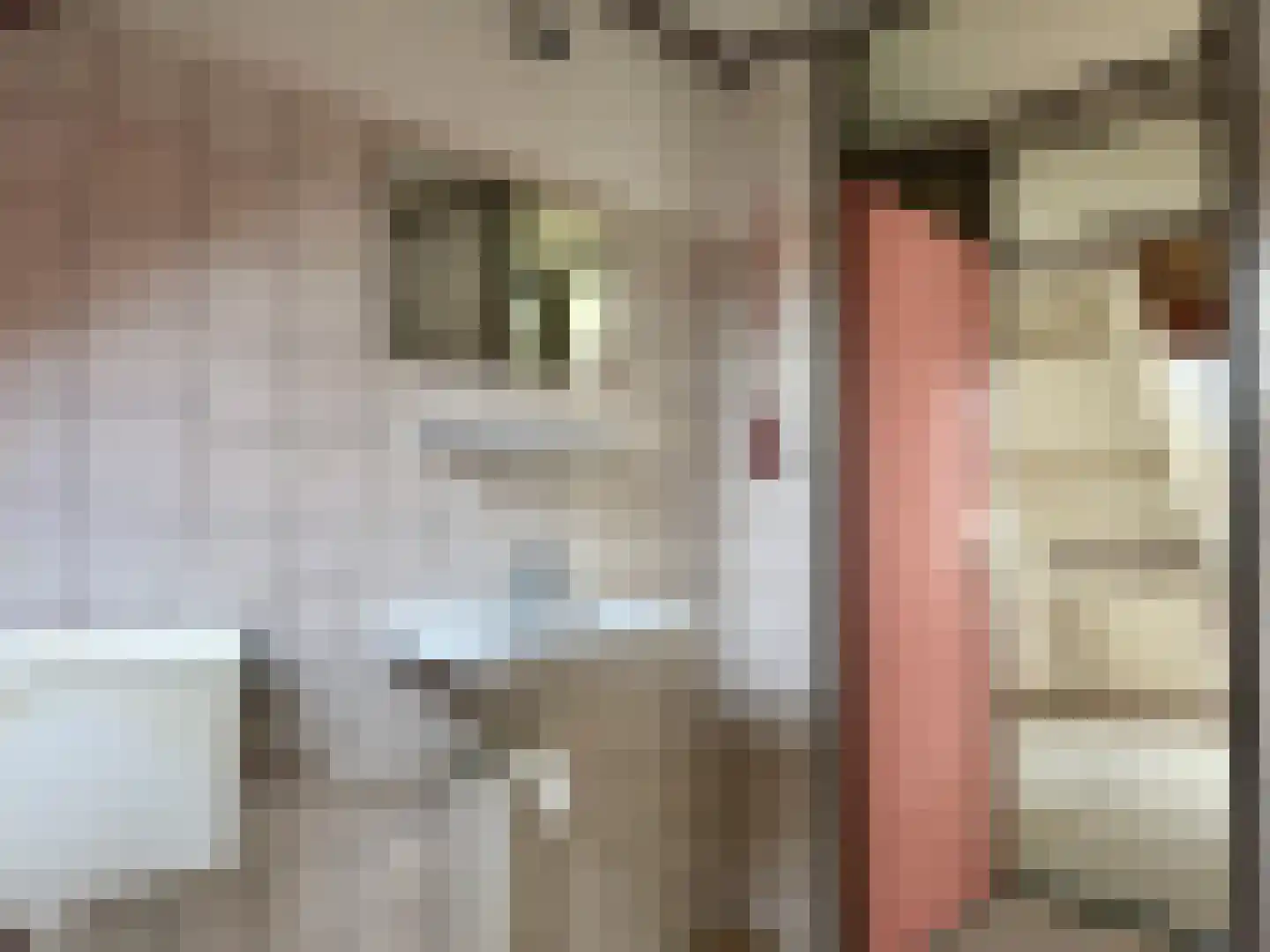 De Bonte Specht 8 Almelo thumbnail 14