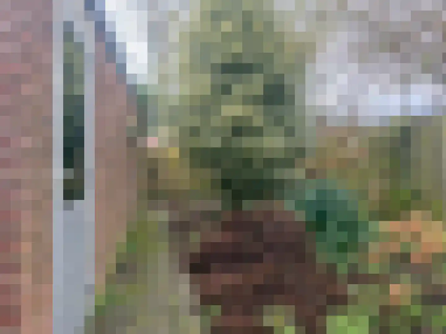 De Bonte Specht 8 Almelo thumbnail 9