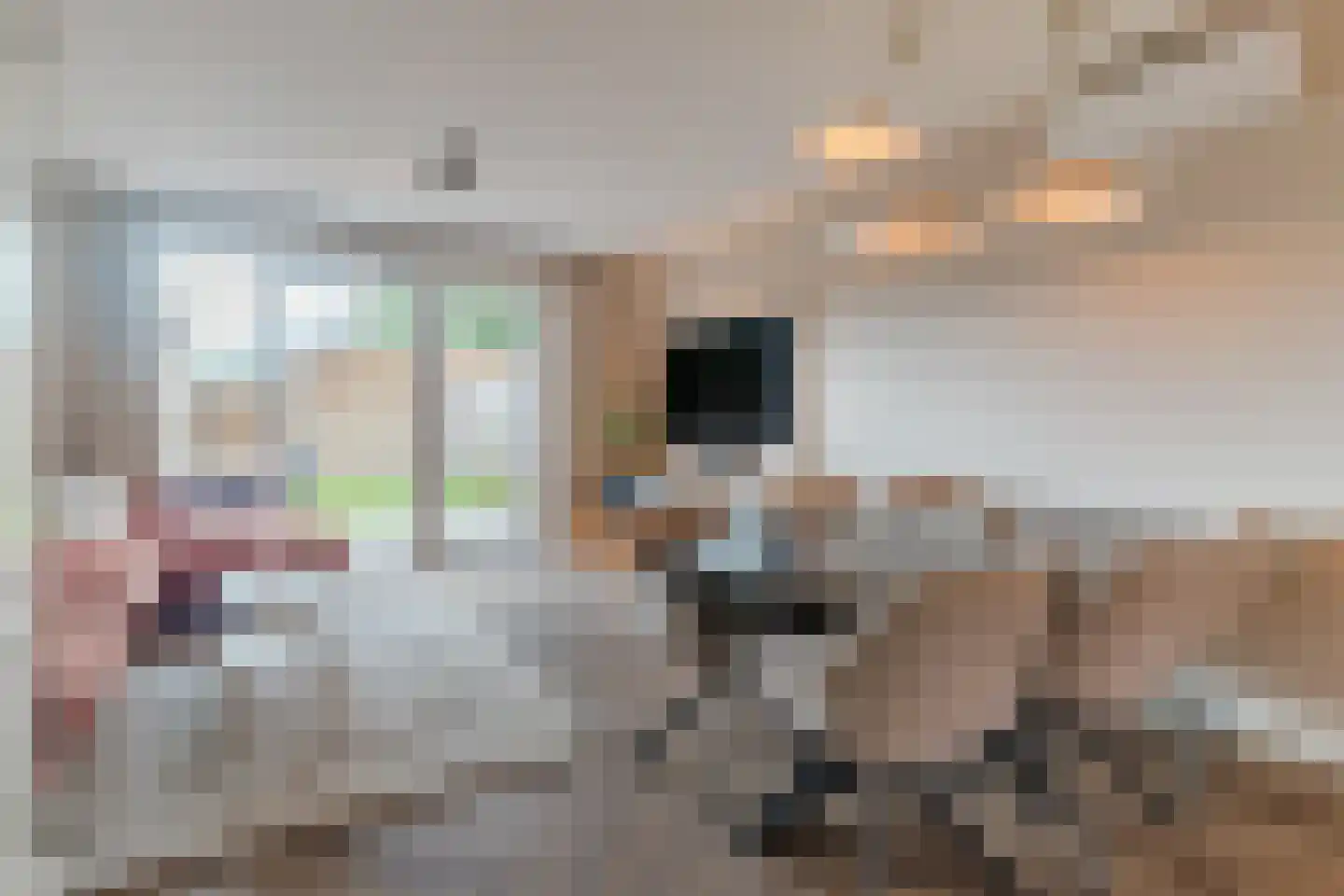 De Bonton 12 Heeswijk-Dinther thumbnail 10