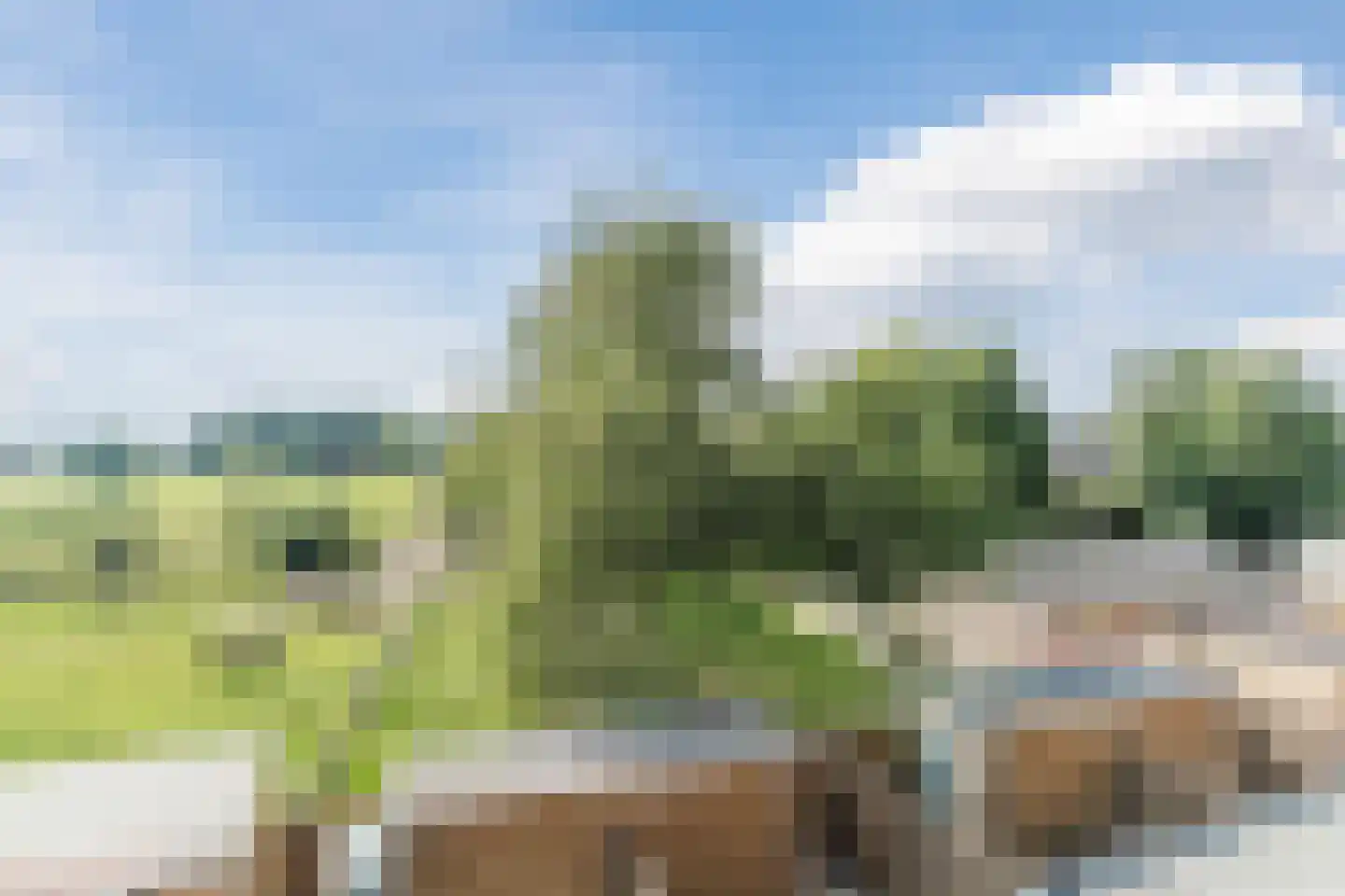 De Bonton 12 Heeswijk-Dinther thumbnail 26