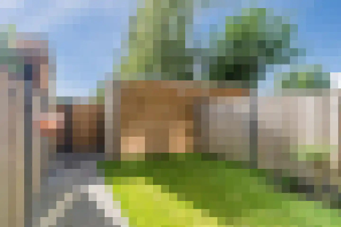 De Bonton 12 Heeswijk-Dinther thumbnail 38