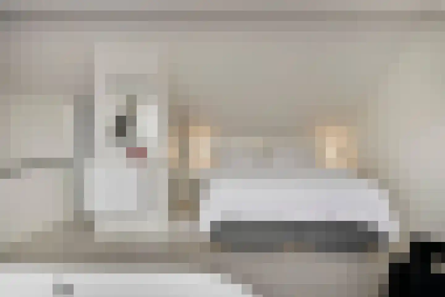 de Bontstraat 41 Son en Breugel thumbnail 22