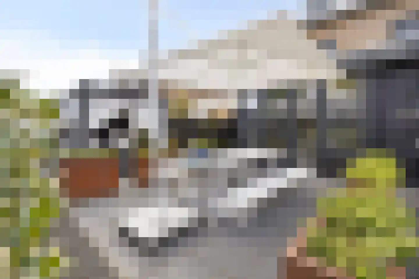 de Bontstraat 41 Son en Breugel thumbnail 26