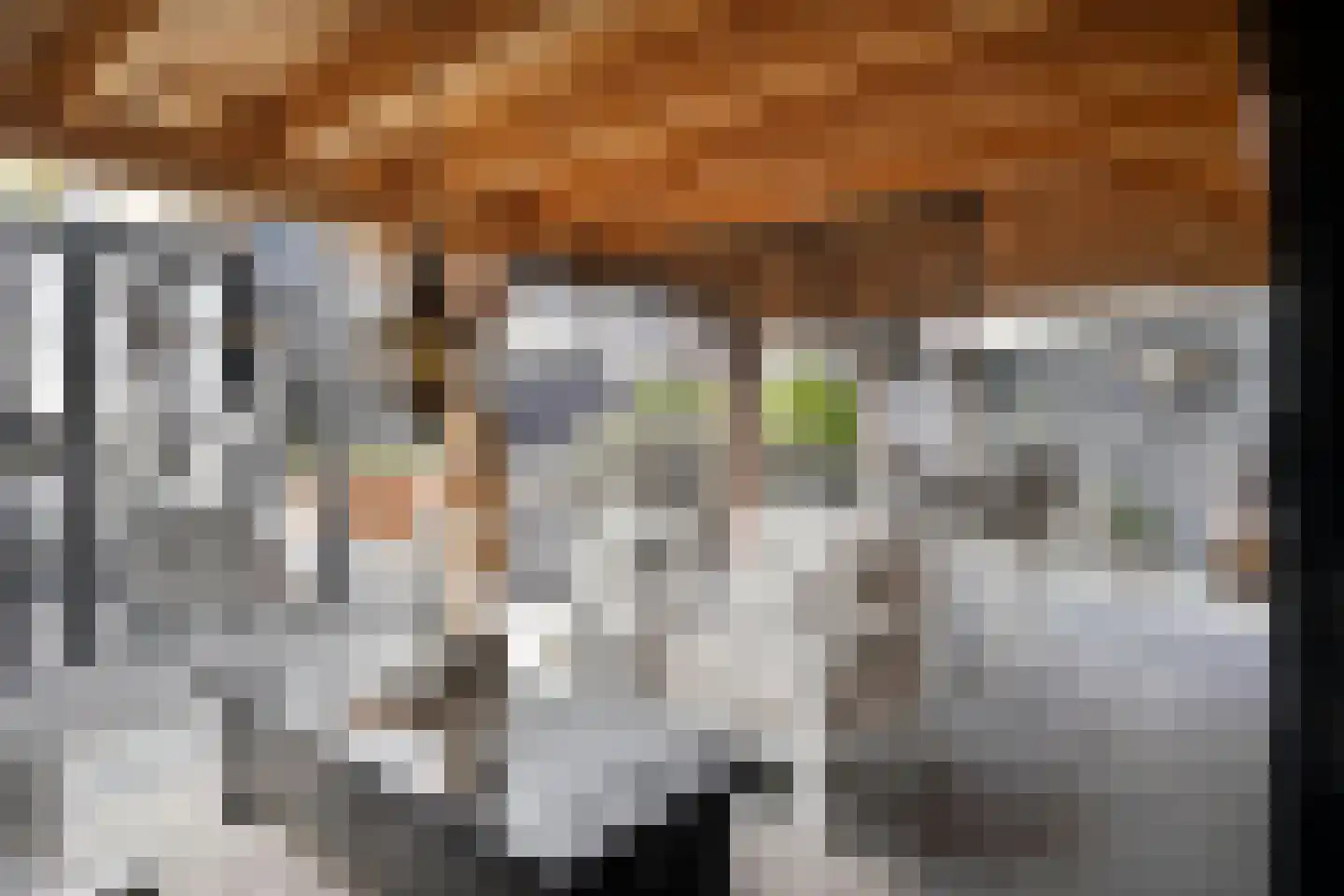 de Bontstraat 41 Son en Breugel thumbnail 29