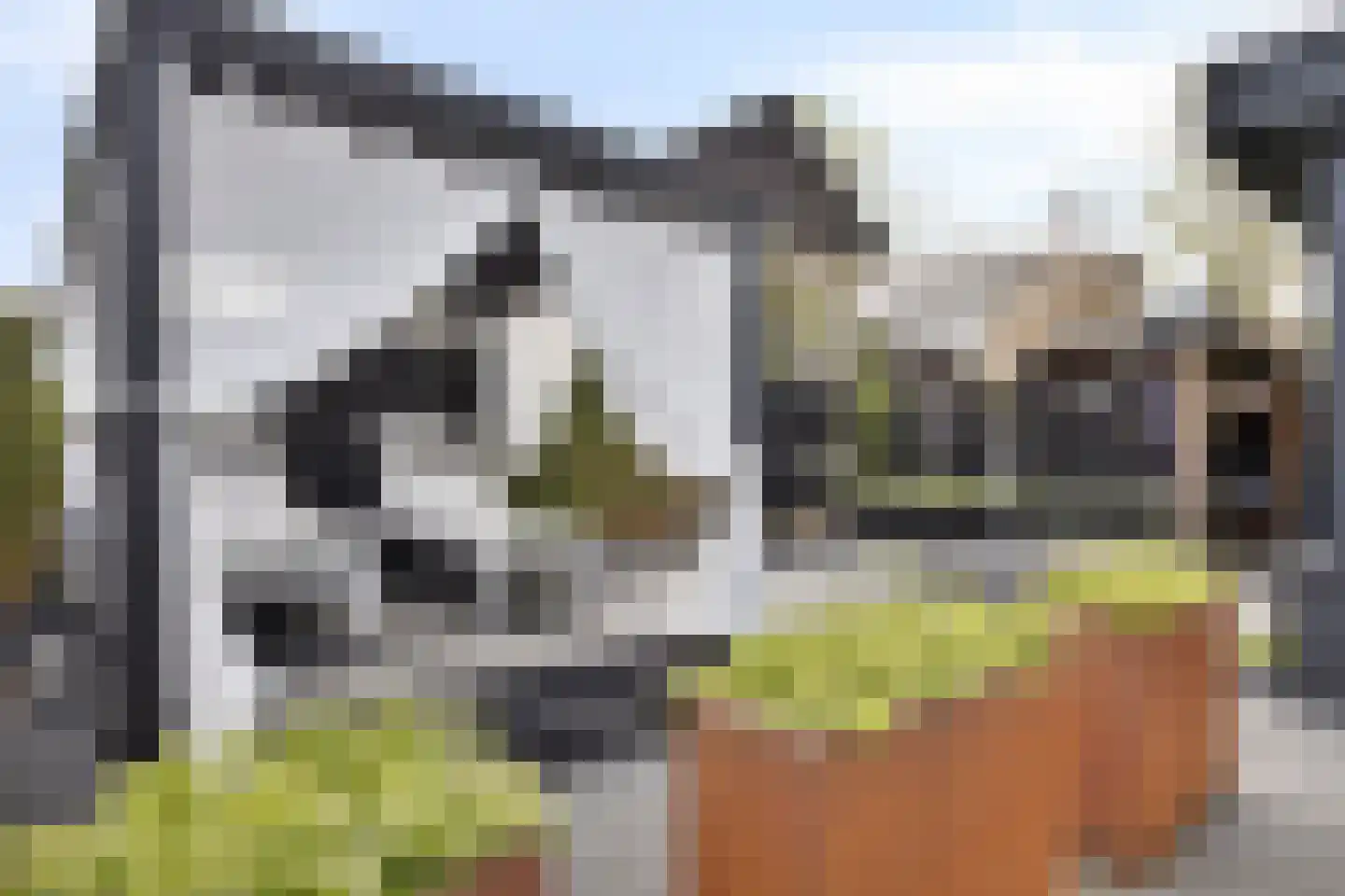 de Bontstraat 41 Son en Breugel thumbnail 30
