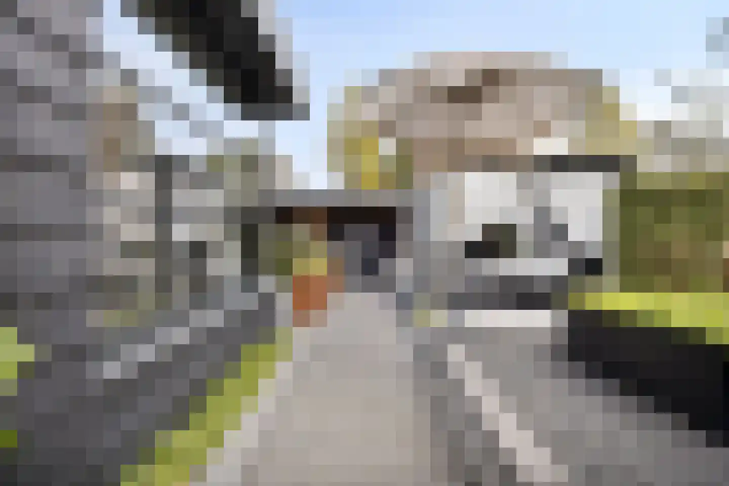 de Bontstraat 41 Son en Breugel thumbnail 31