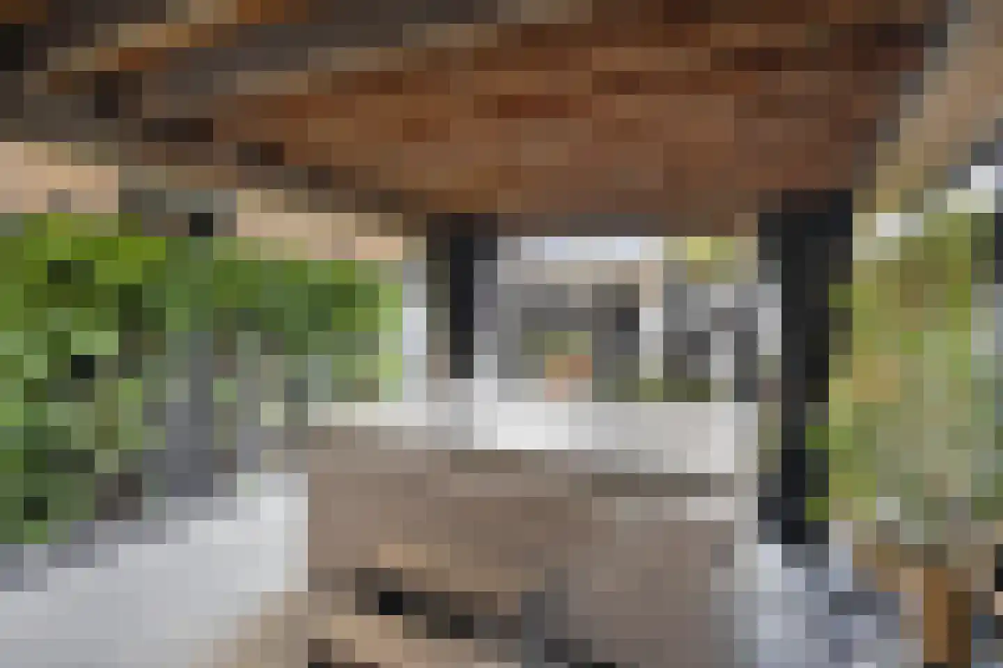 de Bontstraat 41 Son en Breugel thumbnail 32