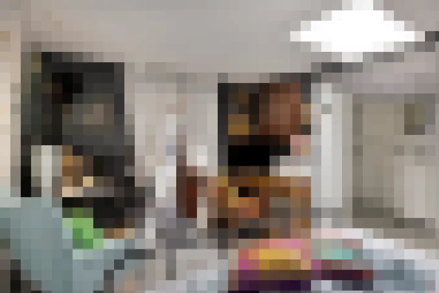 de Bontstraat 41 Son en Breugel thumbnail 36