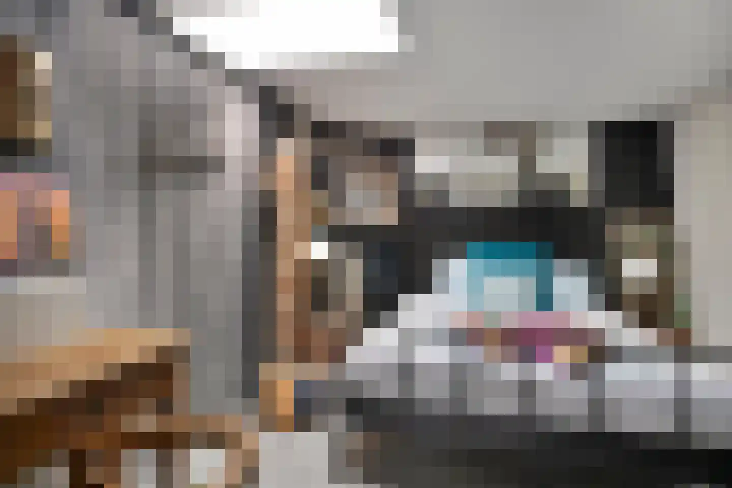 de Bontstraat 41 Son en Breugel thumbnail 37