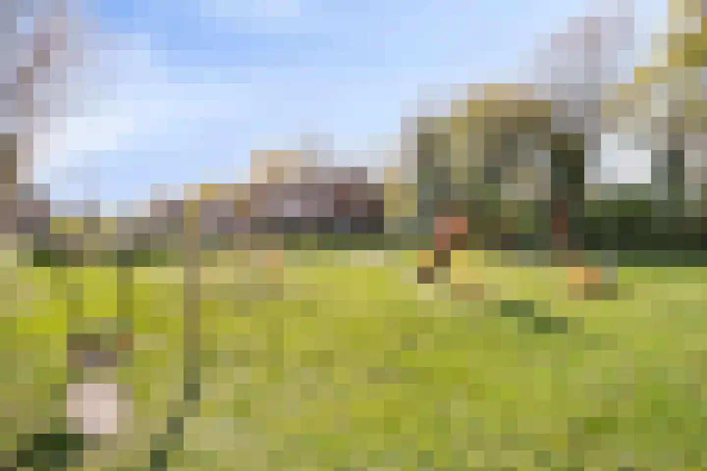 de Bontstraat 41 Son en Breugel thumbnail 43