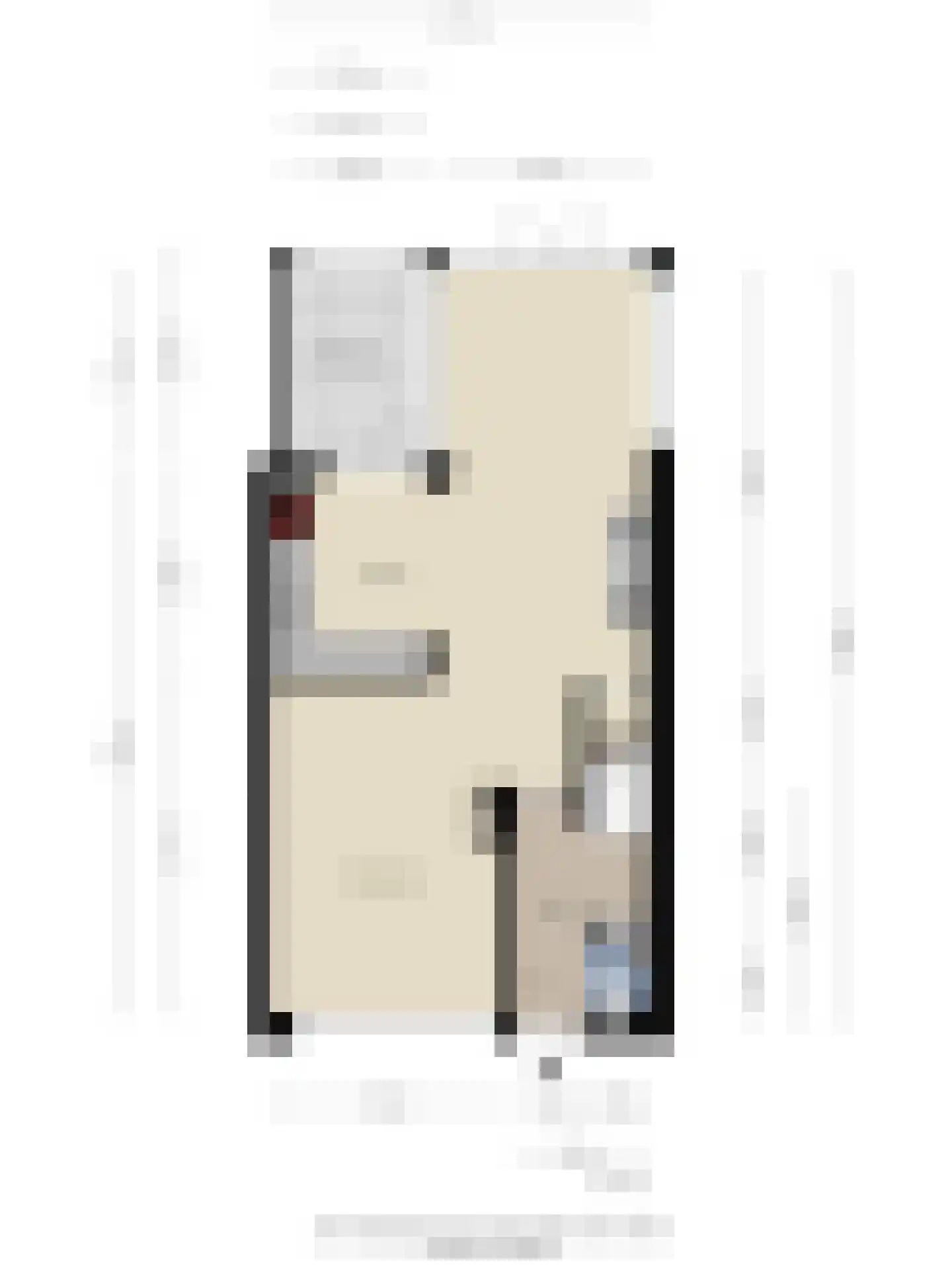 de Bontstraat 41 Son en Breugel thumbnail 45