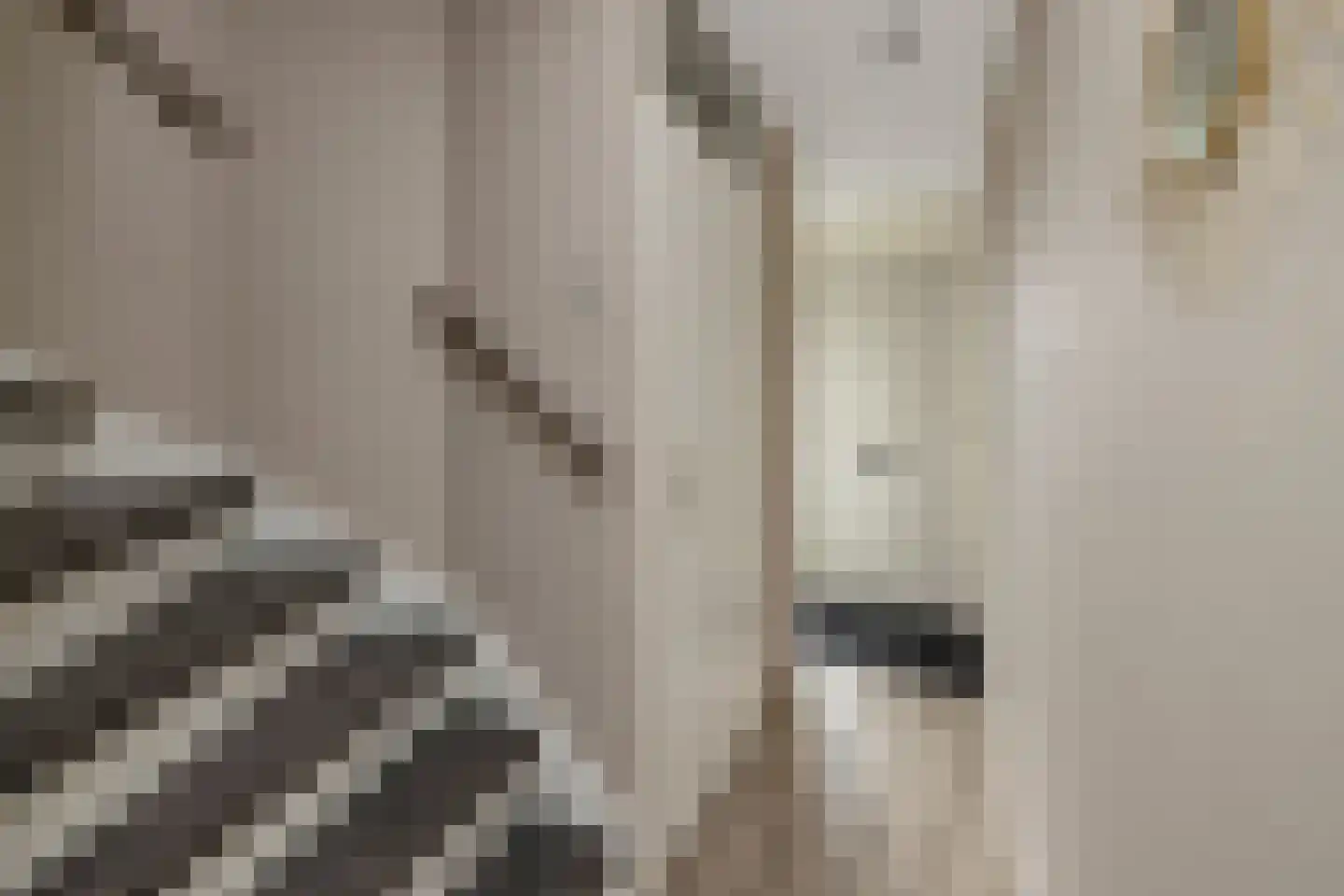 De Boog 11 Schagen thumbnail 7