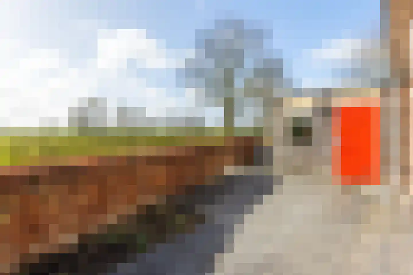 De Boog 13 Mariënvelde thumbnail 32
