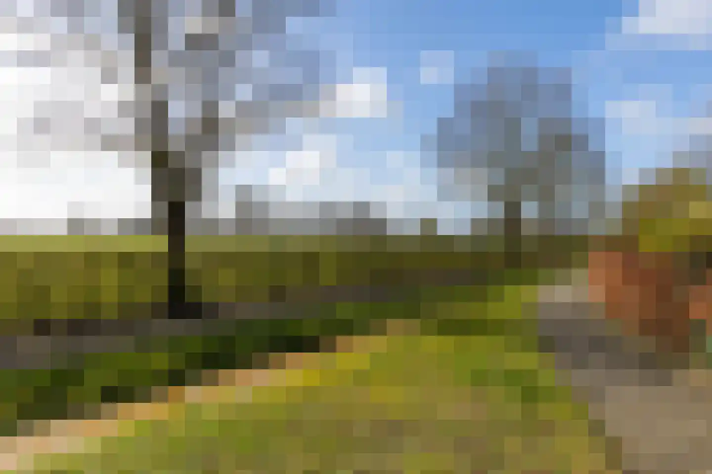 De Boog 13 Mariënvelde thumbnail 33