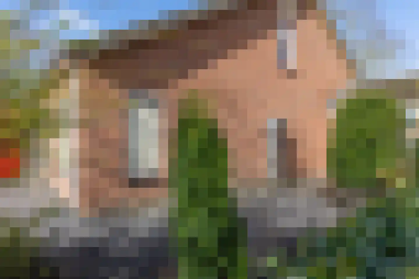 De Boog 13 Mariënvelde thumbnail 36