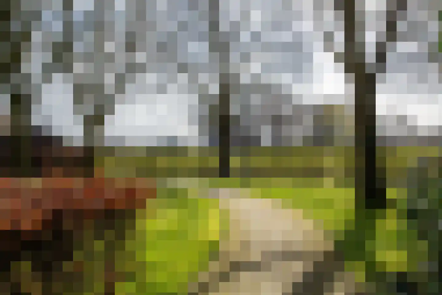 De Boog 13 Mariënvelde thumbnail 39