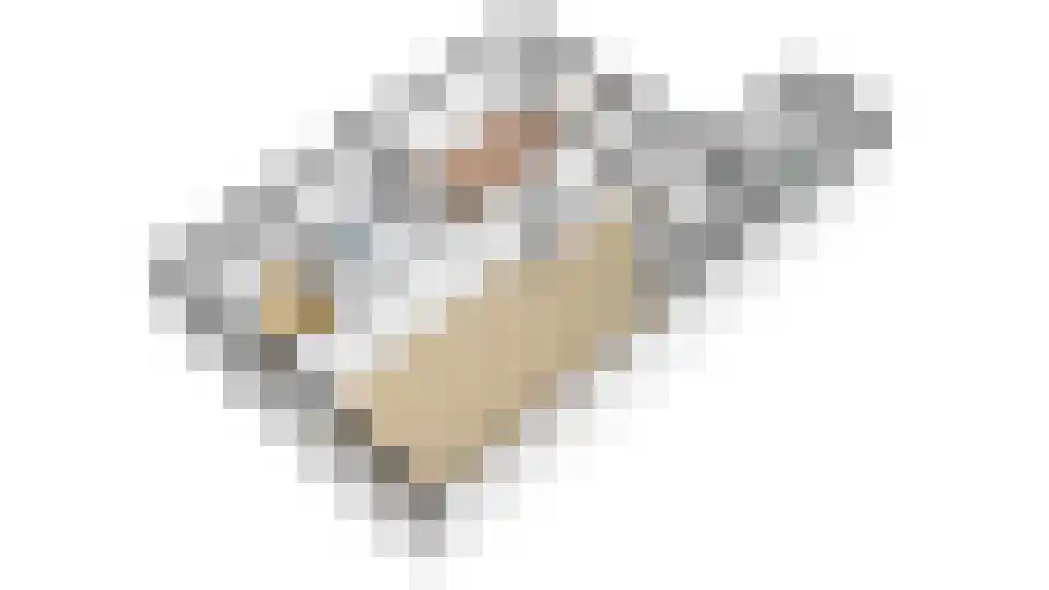 De Boog 13 Mariënvelde thumbnail 45