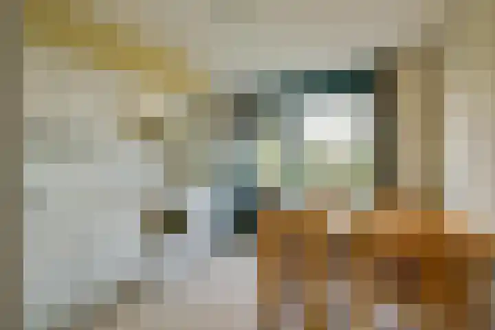De Boog 133 Schagen thumbnail 10