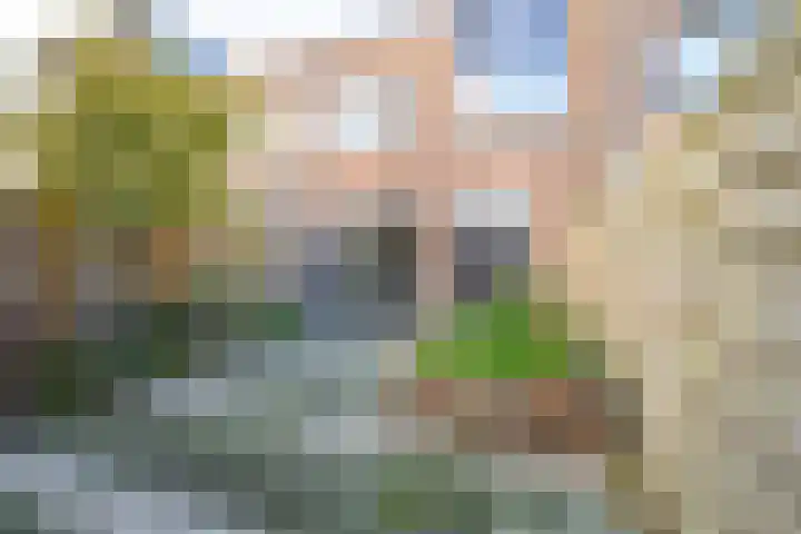 De Boog 133 Schagen thumbnail 15
