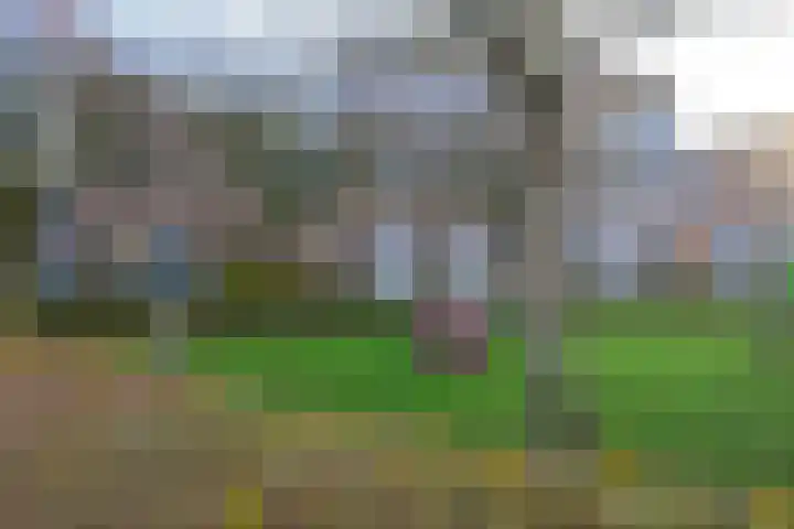 De Boog 133 Schagen thumbnail 31