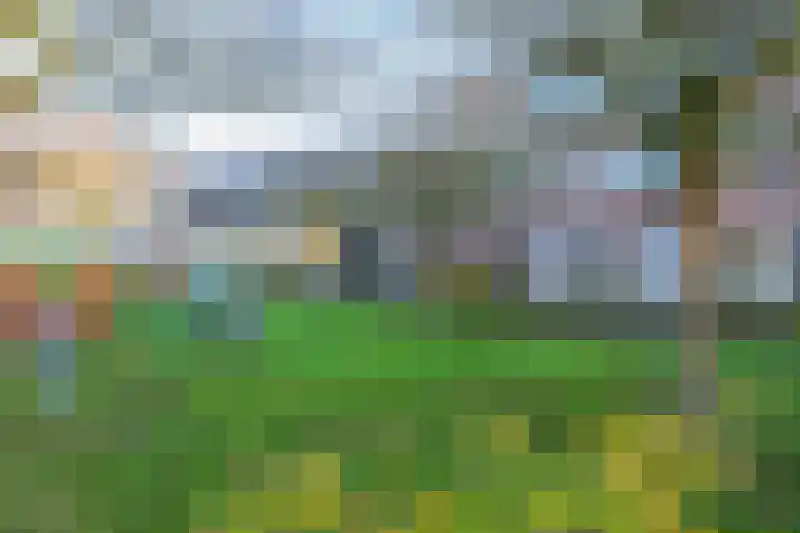 De Boog 133 Schagen thumbnail 32
