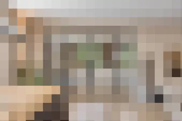 De Boog 2 Schagen thumbnail 14